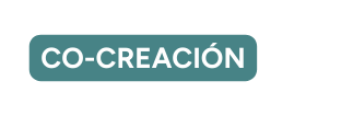 co creación