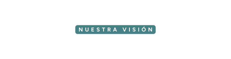 NUESTRA VISIÓN